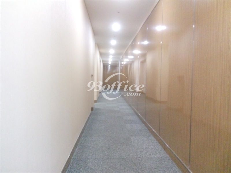 陆家嘴商务广场商务楼出租-写字楼走道